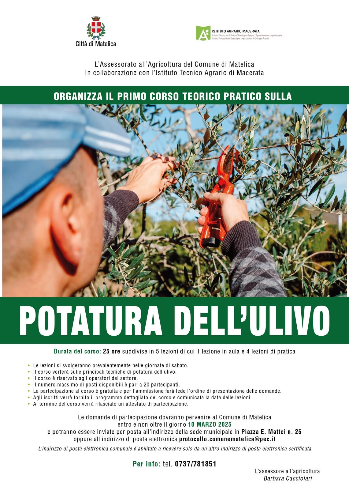 Matelica, aperte le iscrizioni per il primo corso teorico pratico sulla potatura dell'ulivo