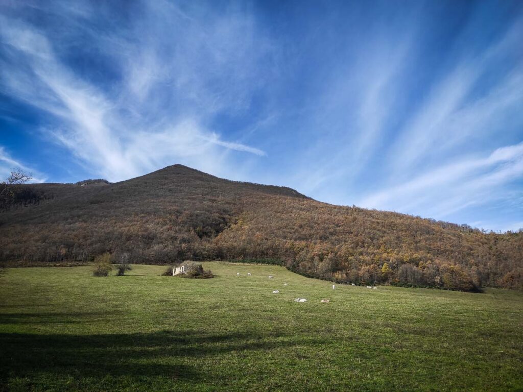 Pascolo estivo su terreni di uso civico per la stagione 2025