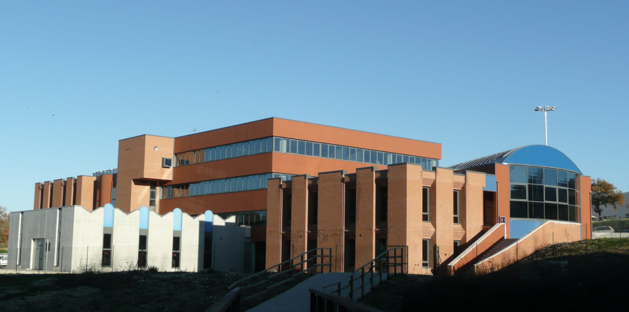 Istituto Professionale di Stato