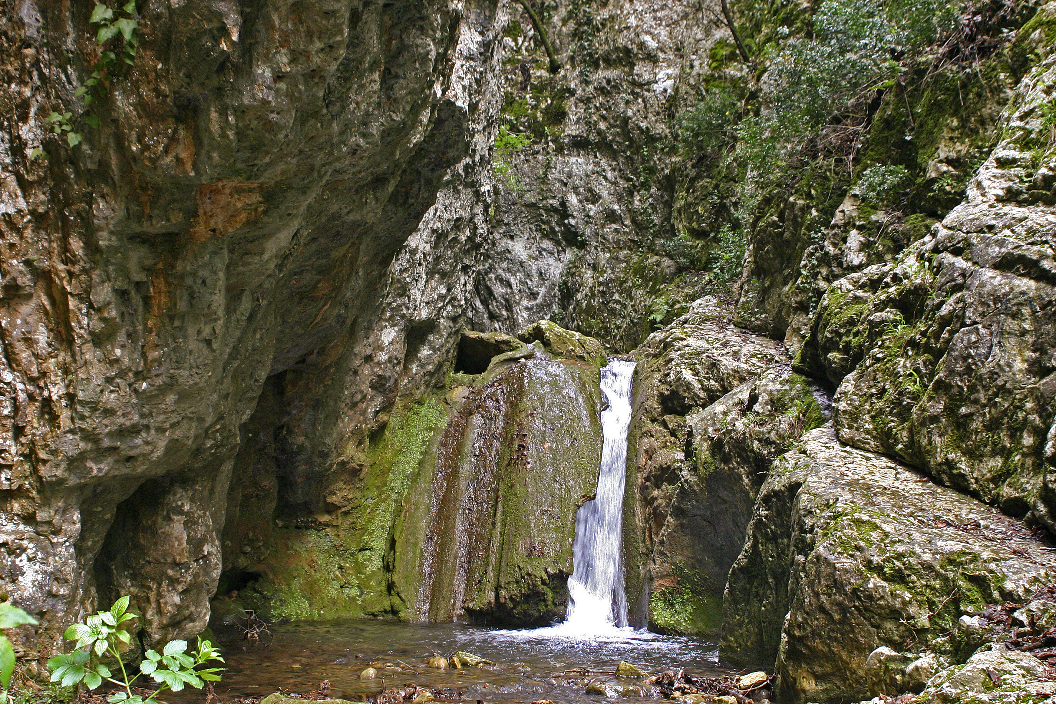 Itinerario naturalistico