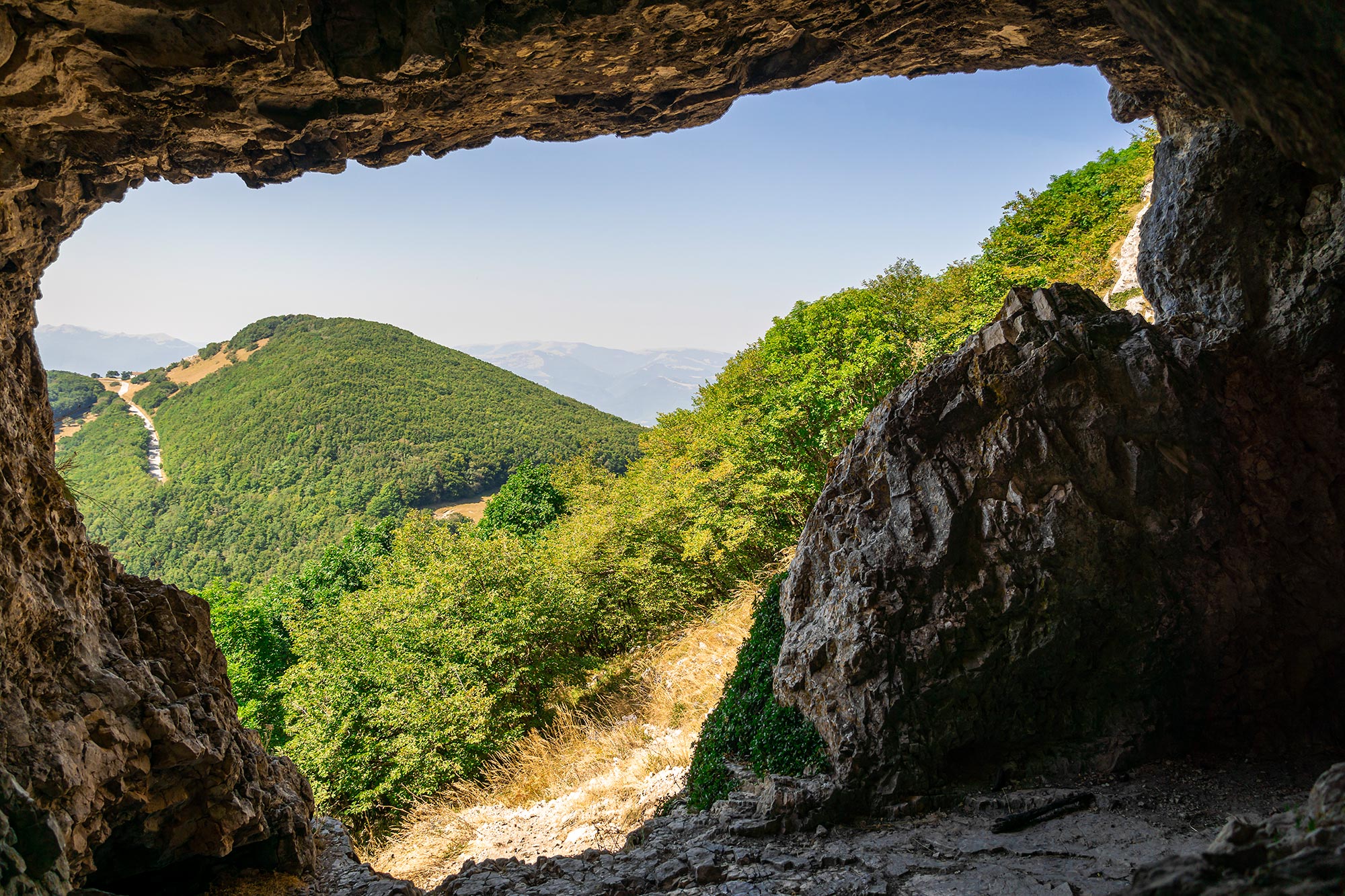 Riserva naturale regionale